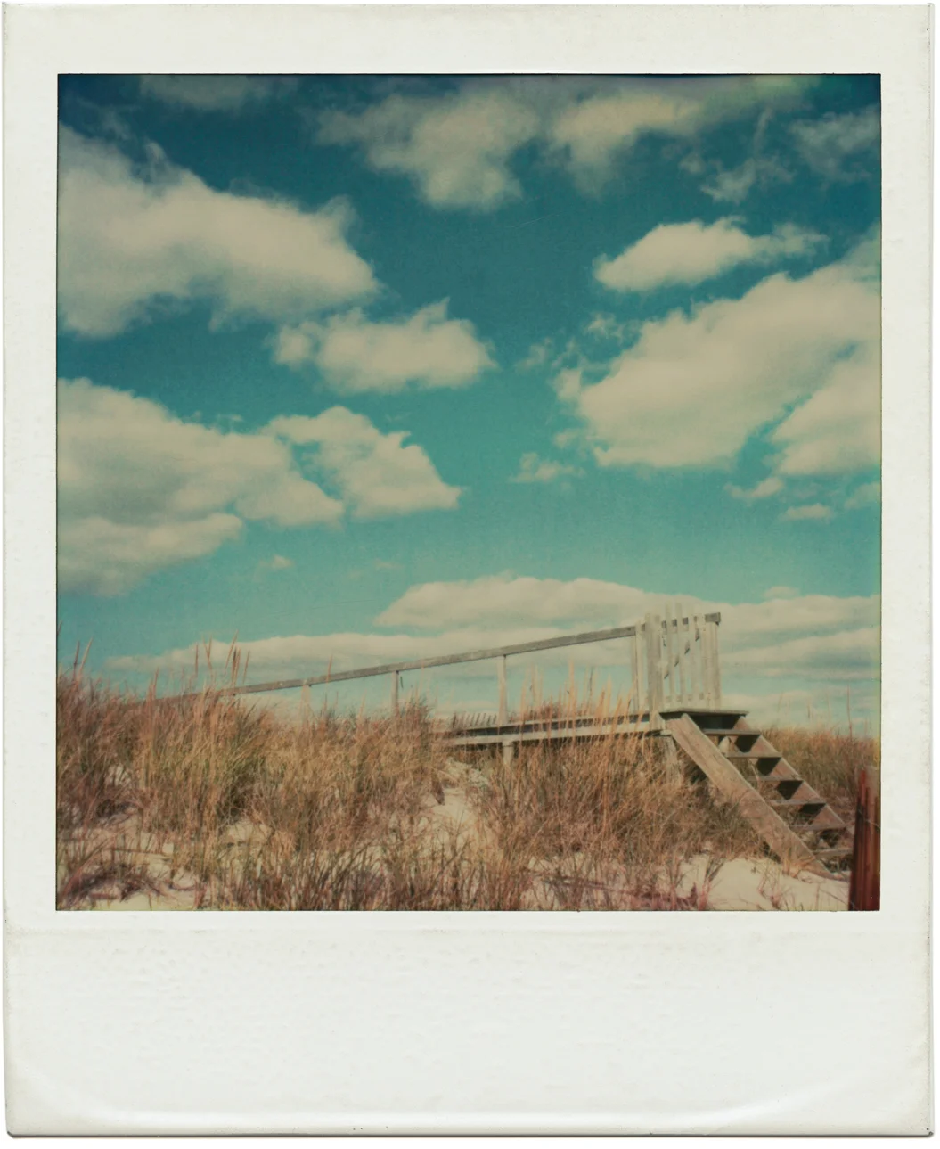 TOM BIANCHI — Fire Island Pines | Polaroids